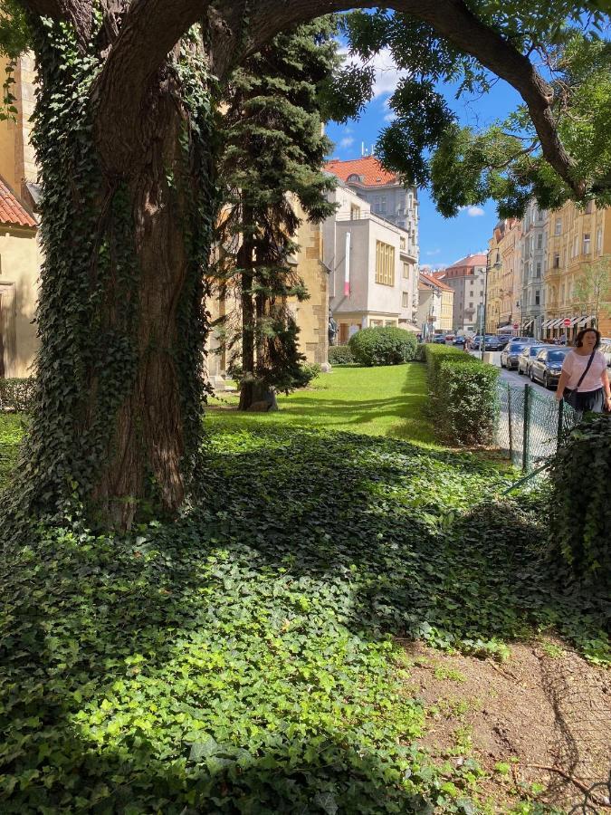 Central Apartments, Prague Old Town Exterior foto